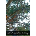 The Parish Priest On Duty: A Practical Manual For Pastors, Curates, And Theological Students Preparing For The Mission