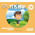 It Is Brin: Book 58