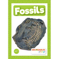 Fossils