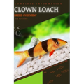 Clown Loach: From Novice to Expert. Comprehensive Aquarium Fish Guide