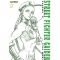Street Fighter Gaiden, Volume 2