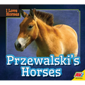 Przewalski's Horses