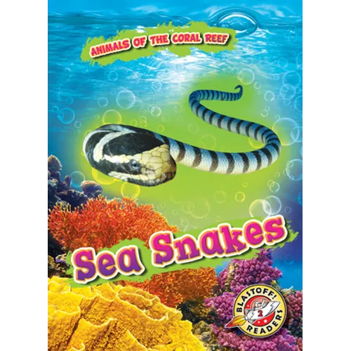 Sea Snakes