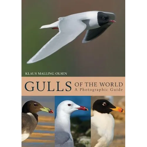 Gulls of the World: A Photographic Guide