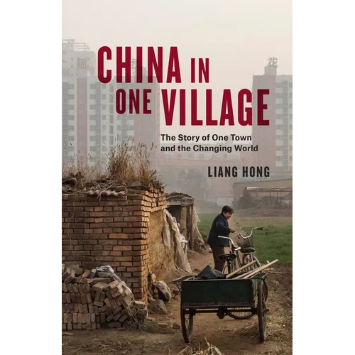 China in One Village: The Story of One Town and the Changing World