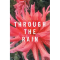 Through the Rain