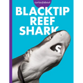 Curious about Blacktip Reef Sharks
