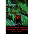 Ruptured Cerebral Aneurysm: Fire in the Brain