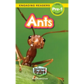 Ants: Backyard Bugs and Creepy-Crawlies (Engaging Readers, Level Pre-1)