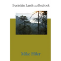 Buckskin Larch and Bedrock