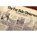 The Far Side(r) Observer