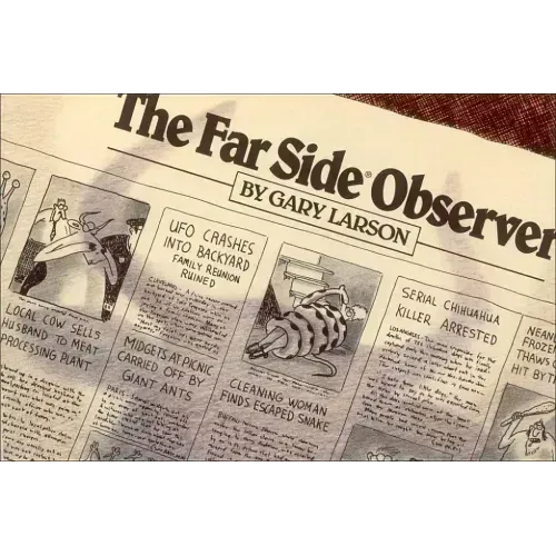 The Far Side(r) Observer