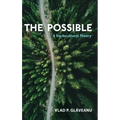 Possible: A Sociocultural Theory