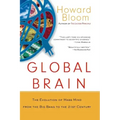 Global Brain: The Evolution of Mass Mind from the Big Bang to the 21st Century
