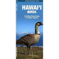 Hawai'i Birds