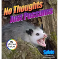 No Thoughts Just Possums: 90 Hilarious Memes