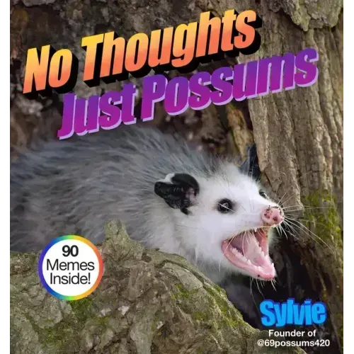 No Thoughts Just Possums: 90 Hilarious Memes