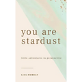 You are Stardust: Little Adventures in Perspective