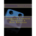 Insurance Company Financial & Risk Analysis