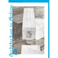 In Medias Res #2: Architecture in Motion