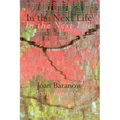 In the Next Life