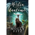 Merlin combat un fantôme