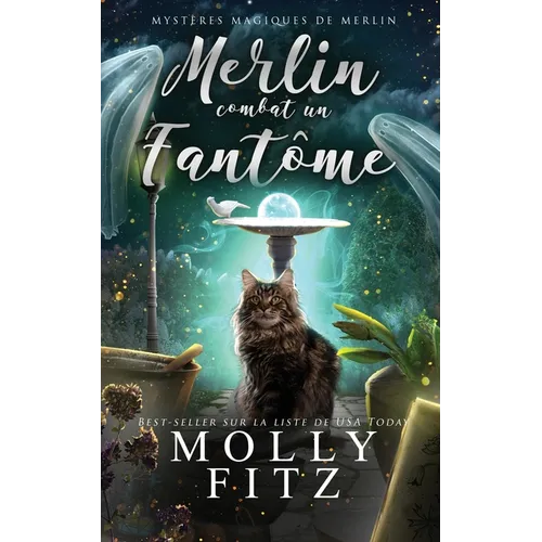 Merlin combat un fantôme