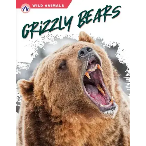 Grizzly Bears