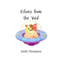 Echoes from the Void