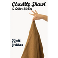 Chastity Shawl & Other Stories: Comedic essays about life -- in it's awkward, observational glory!