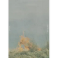 Rinko Kawauchi: Ametsuchi