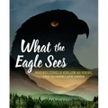 What the Eagle Sees: Indigenous Stories of Rebellion and Renewal