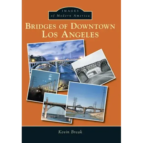 Bridges of Downtown Los Angeles