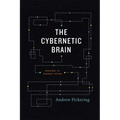 The Cybernetic Brain: Sketches of Another Future