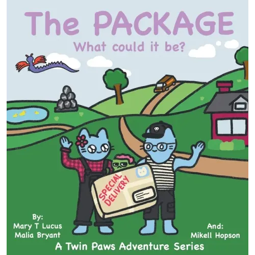 The Package: What could it be?