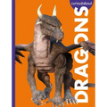Curious about Dragons