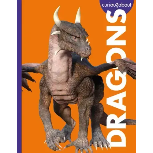 Curious about Dragons