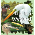 Life In A Wetland
