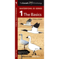 Waterfowl Id Series: The Basics