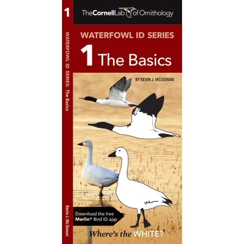 Waterfowl Id Series: The Basics
