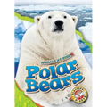 Polar Bears