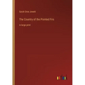 The Country of the Pointed Firs: in large print