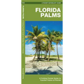 Florida Palms: A Folding Pocket Guide to Familiar Palms of Florida
