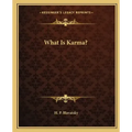 What Is Karma?