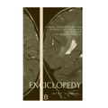 Encyclopedia of Education and Neuroscience: A real approach to the interaction between education and neuroscience