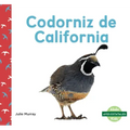 Codorniz de California (California Quails)