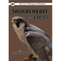 Thunderbolt the Falcon