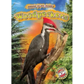 Woodpeckers