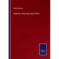Opinions concerning Jesus Christ