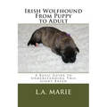 Irish Wolfhound From Puppy to Adult: A Basic Guide to Understanding This Giant Breed